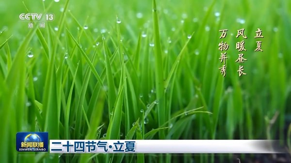 联丰优配 文化中国行丨二十四节气·立夏 春尽夏启 繁华更盛
