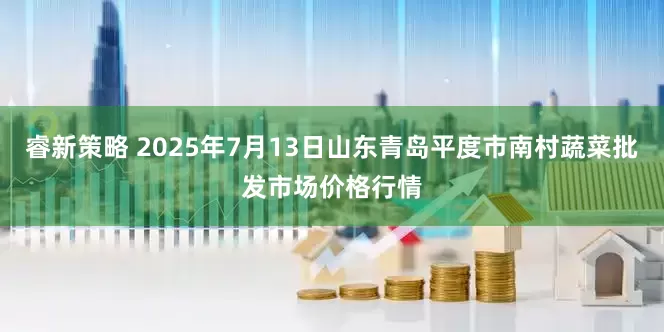 睿新策略 2025年7月13日山东青岛平度市南村蔬菜批发市场价格行情