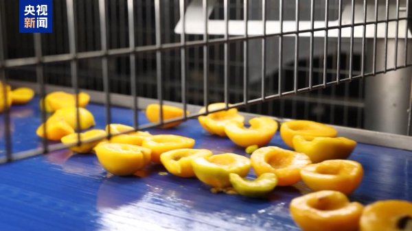 美林配资 美加征30%关税进入倒计时 欧洲果农酒商担忧产品滞销