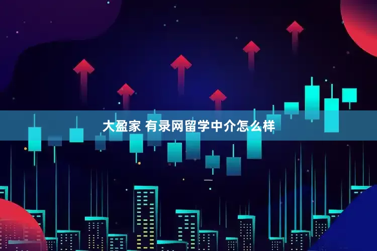 大盈家 有录网留学中介怎么样